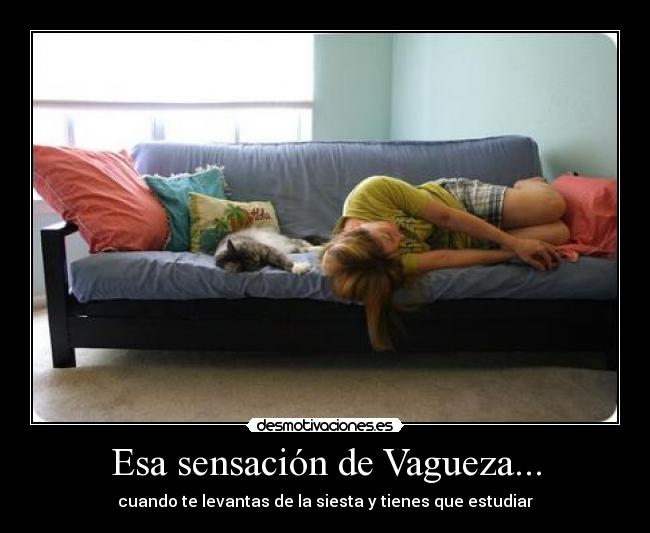 Esa sensación de Vagueza... - cuando te levantas de la siesta y tienes que estudiar