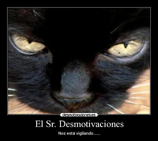 El Sr. Desmotivaciones -