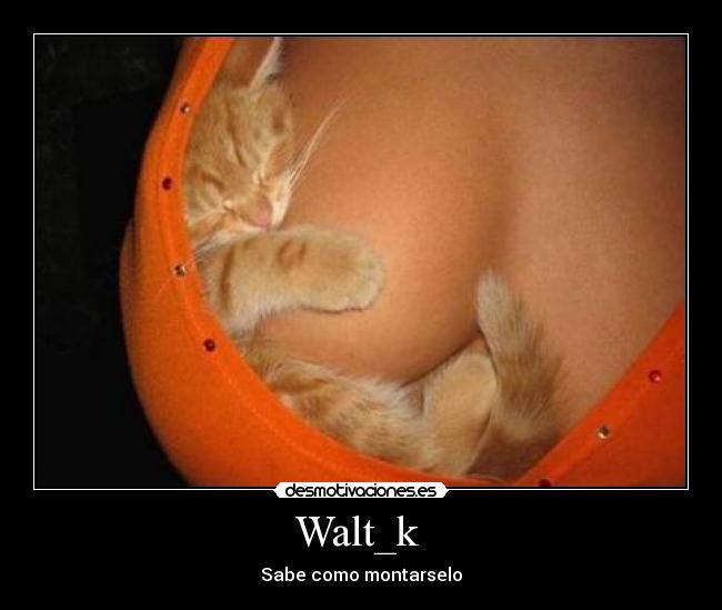 Walt_k - Sabe como montarselo