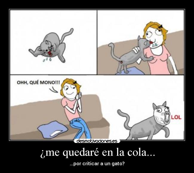 carteles gato lol desmotivaciones