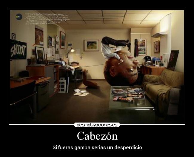 Cabezón - 