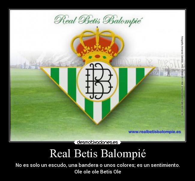 Real Betis Balompié - No es solo un escudo, una bandera o unos colores; es un sentimiento.
Ole ole ole Betis Ole