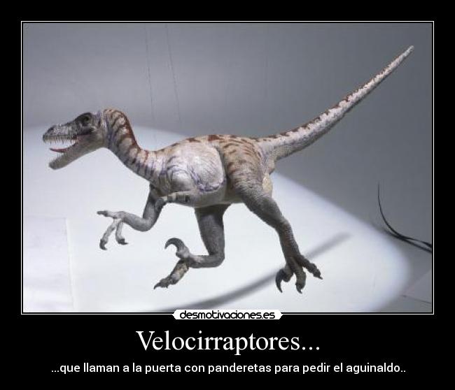 Velocirraptores... -