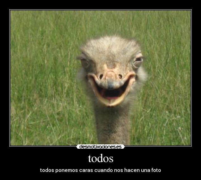 todos - todos ponemos caras cuando nos hacen una foto