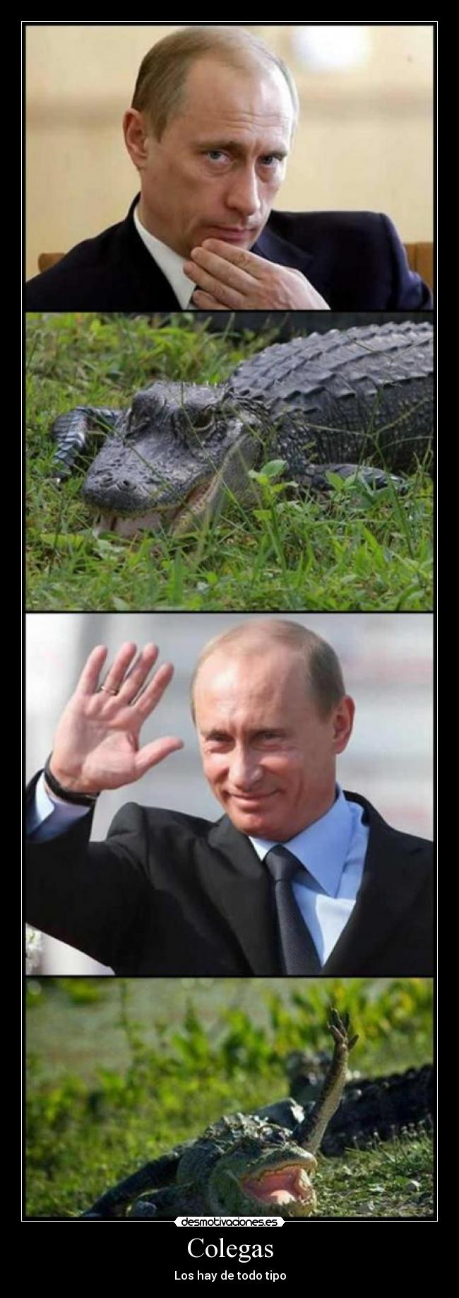 carteles colegaa desmotivaciones