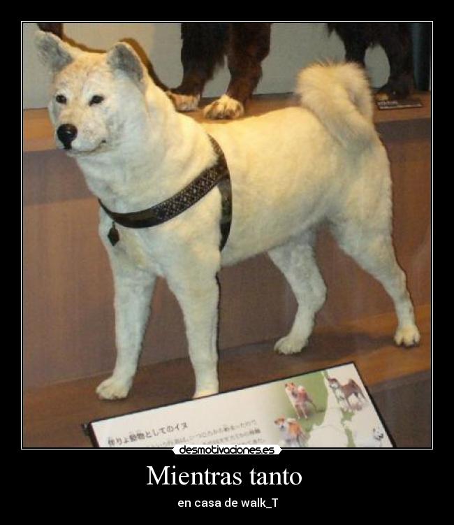 Mientras tanto  - en casa de walk_T