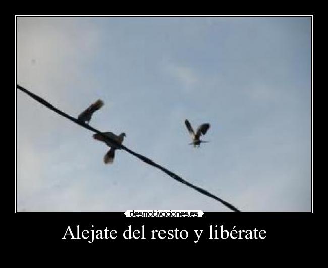 Alejate del resto y libérate -