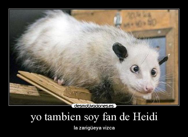 yo tambien soy fan de Heidi -