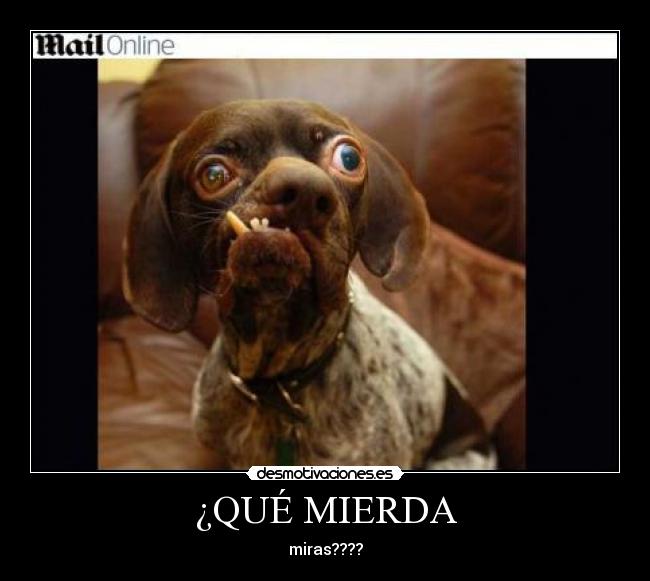 Usuario waynef16 Desmotivaciones Usuario waynef16 Desmotivaciones