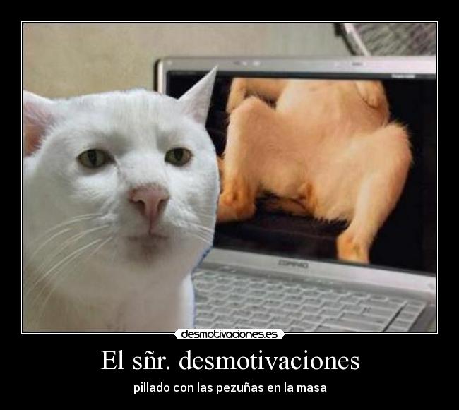 El sñr. desmotivaciones -