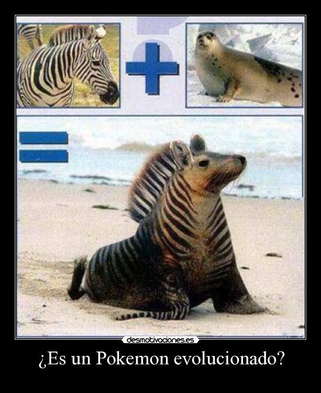 ¿Es un Pokemon evolucionado? -