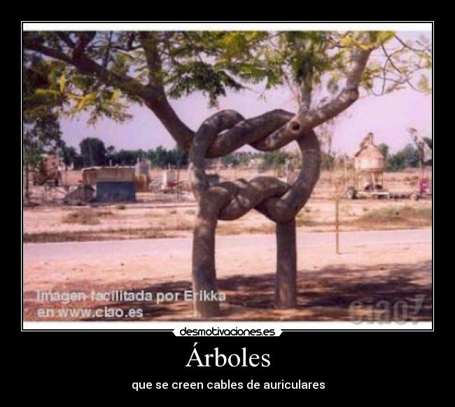 Árboles -