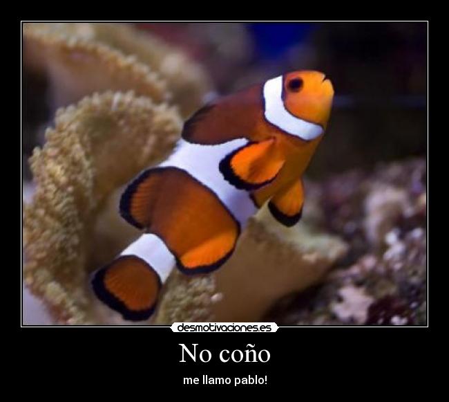 No coño -