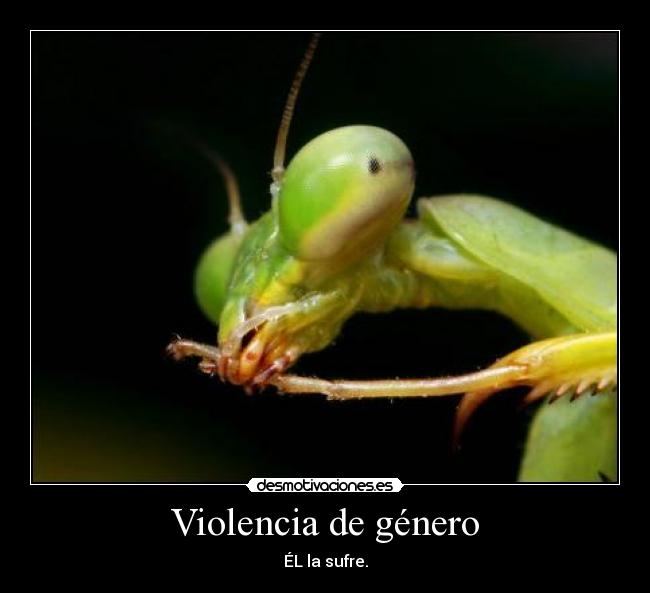 Violencia de género - 