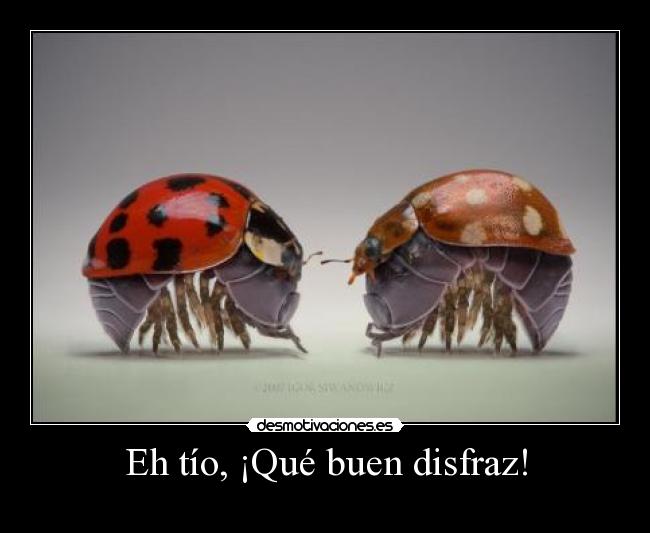 Eh tío, ¡Qué buen disfraz! -