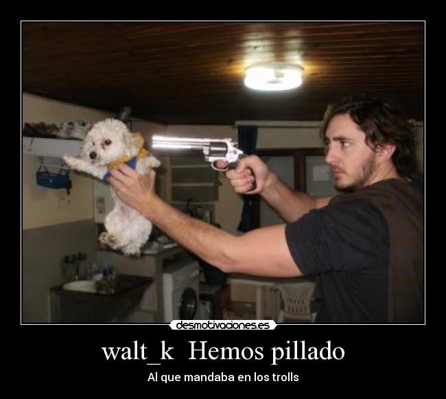 walt_k Hemos pillado -