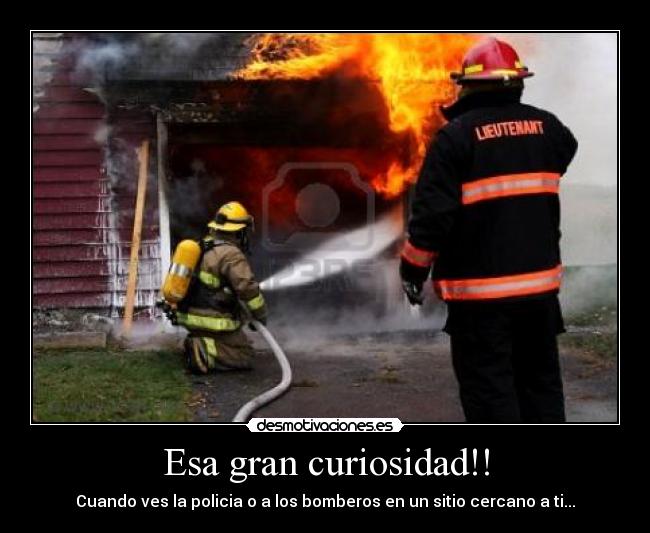 Esa gran curiosidad!! -