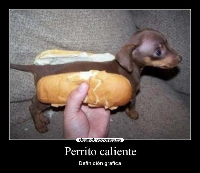 Perrito caliente - Definición grafica