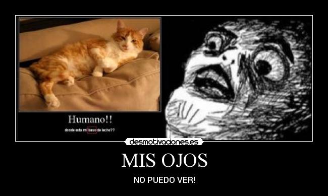 MIS OJOS -