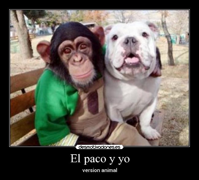 El paco y yo - version animal