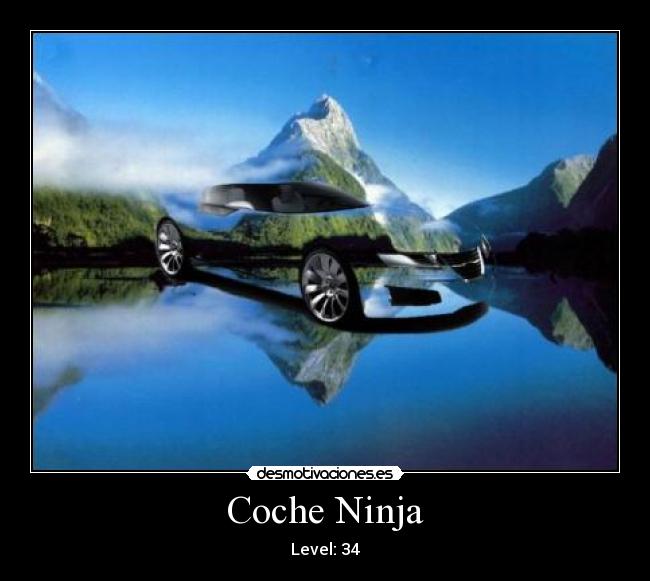 Coche Ninja -