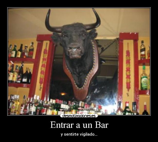 Entrar a un Bar - y sentirte vigilado...
