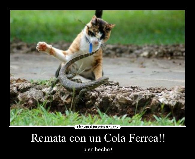 Remata con un Cola Ferrea!! - bien hecho !