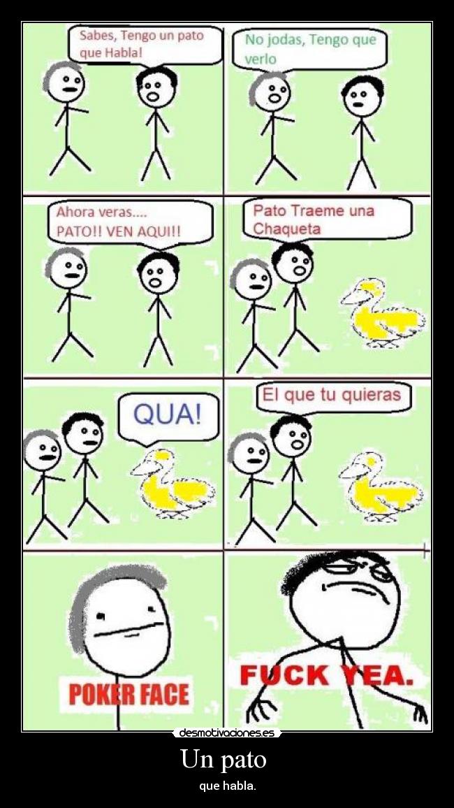 Un pato - que habla.