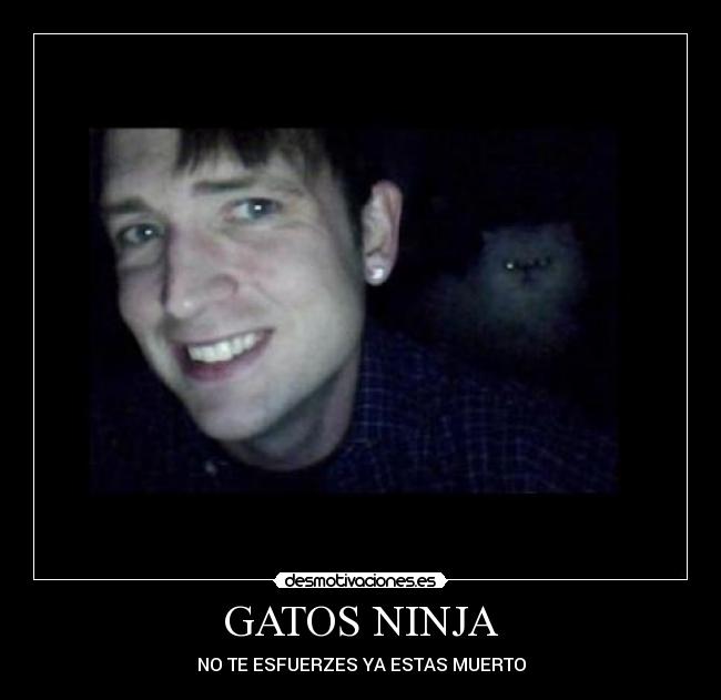 GATOS NINJA - NO TE ESFUERZES YA ESTAS MUERTO
