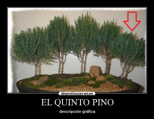 EL QUINTO PINO - 