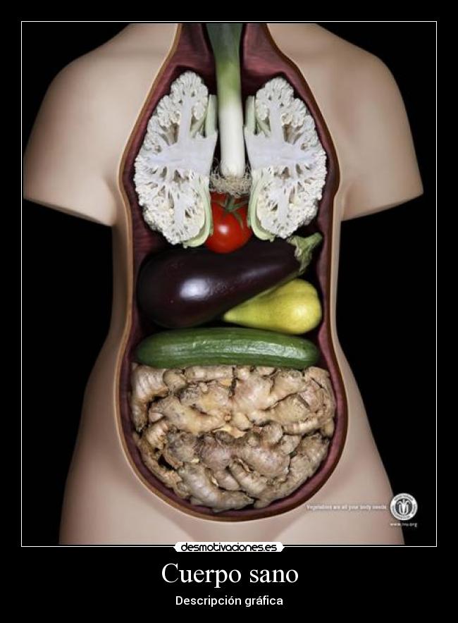 Cuerpo sano - Descripción gráfica