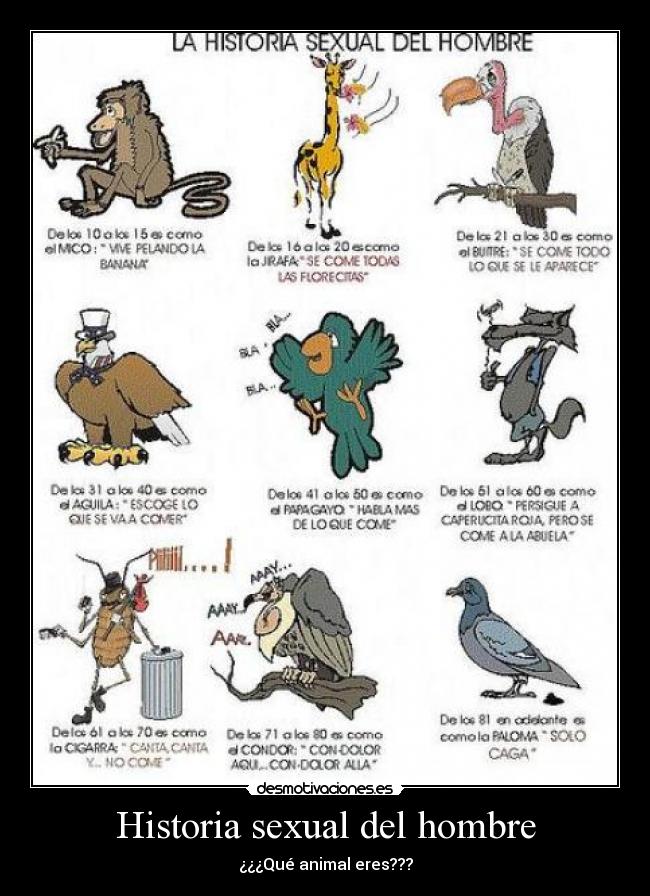 carteles historia lazaro13 desmotivaciones