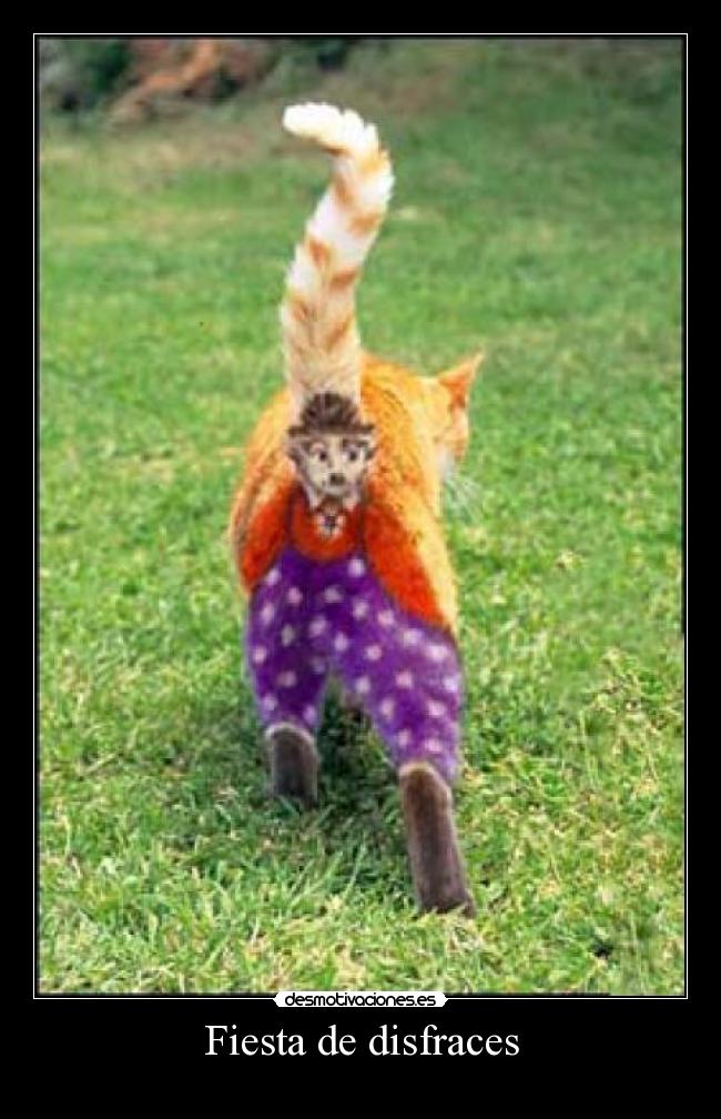Fiesta de disfraces -