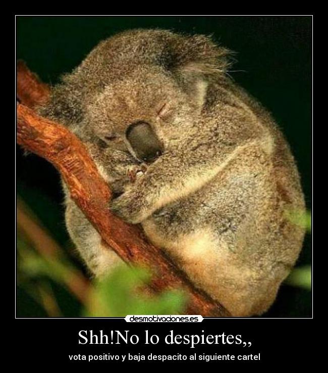 Shh!No lo despiertes,, - 