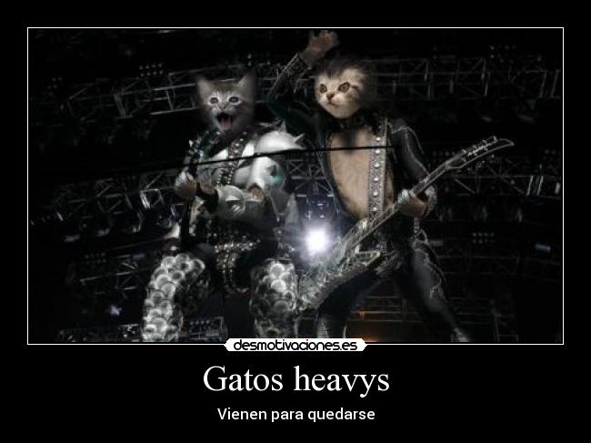 Gatos heavys - 