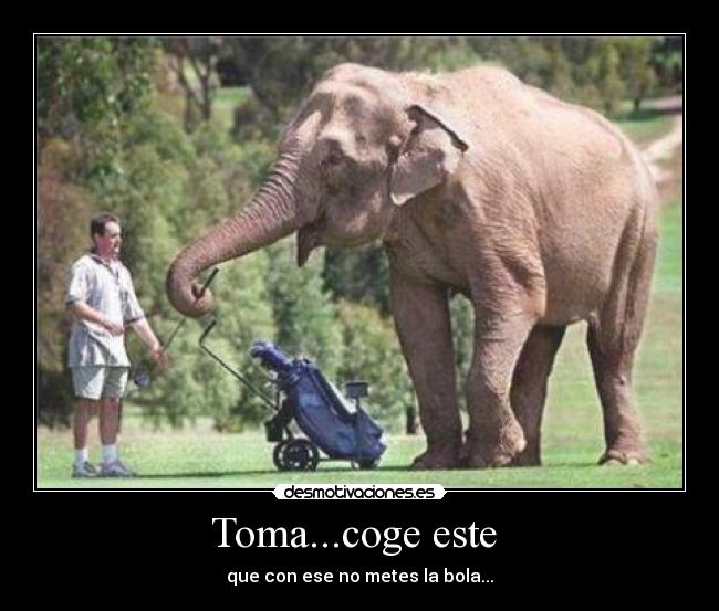 Toma...coge este -