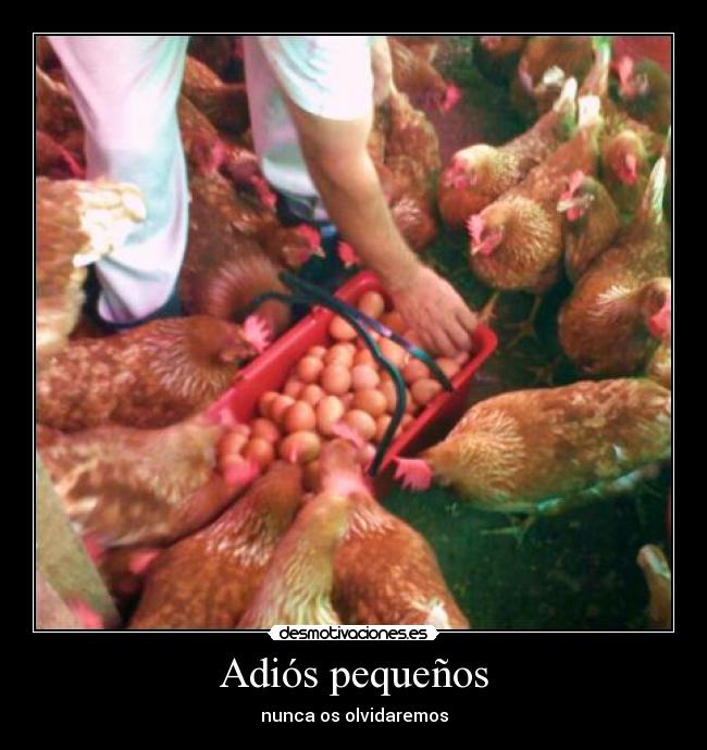 carteles humor desmotivaciones