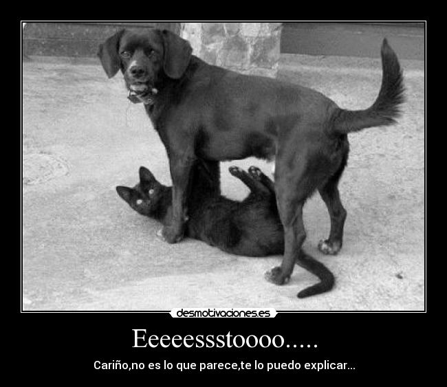 Eeeeessstoooo..... -