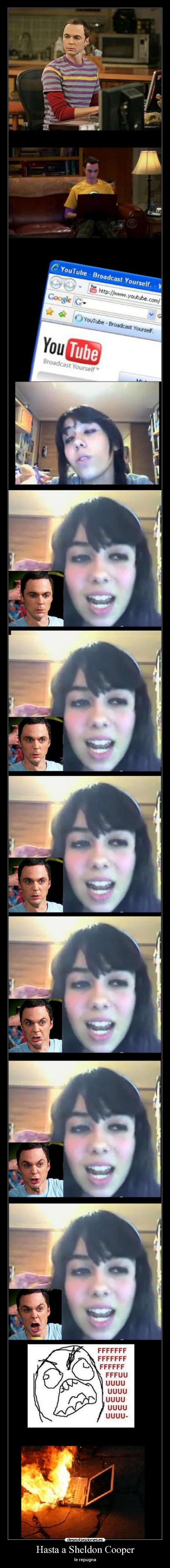 Hasta a Sheldon Cooper -