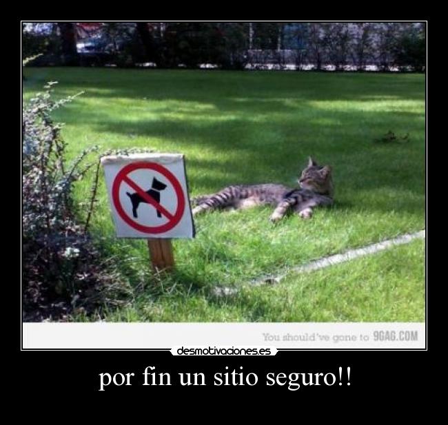 por fin un sitio seguro!! -