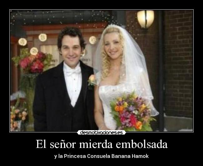 El señor mierda embolsada -