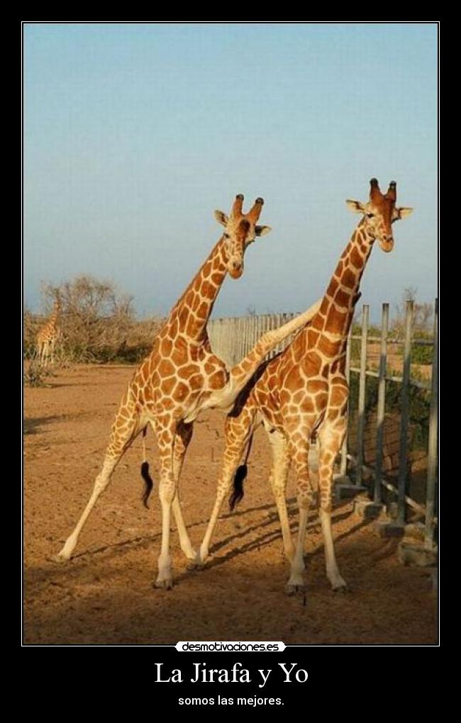 La Jirafa y Yo - somos las mejores.