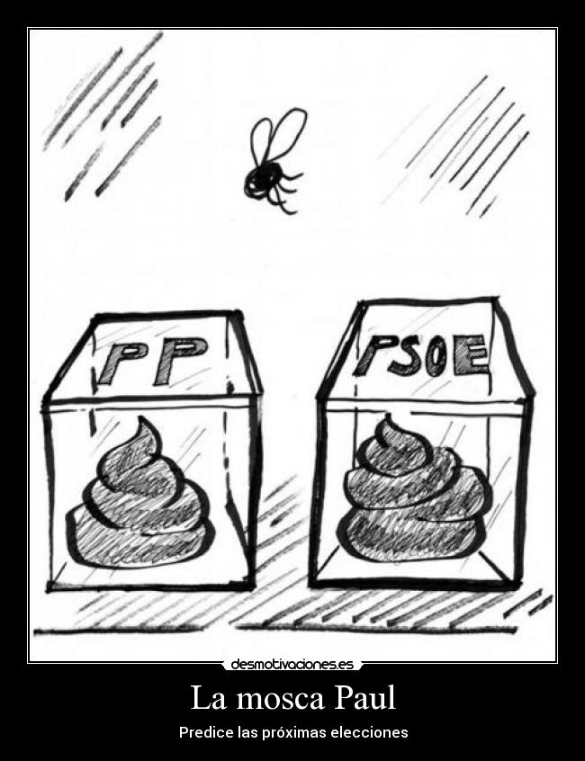 La mosca Paul - Predice las próximas elecciones