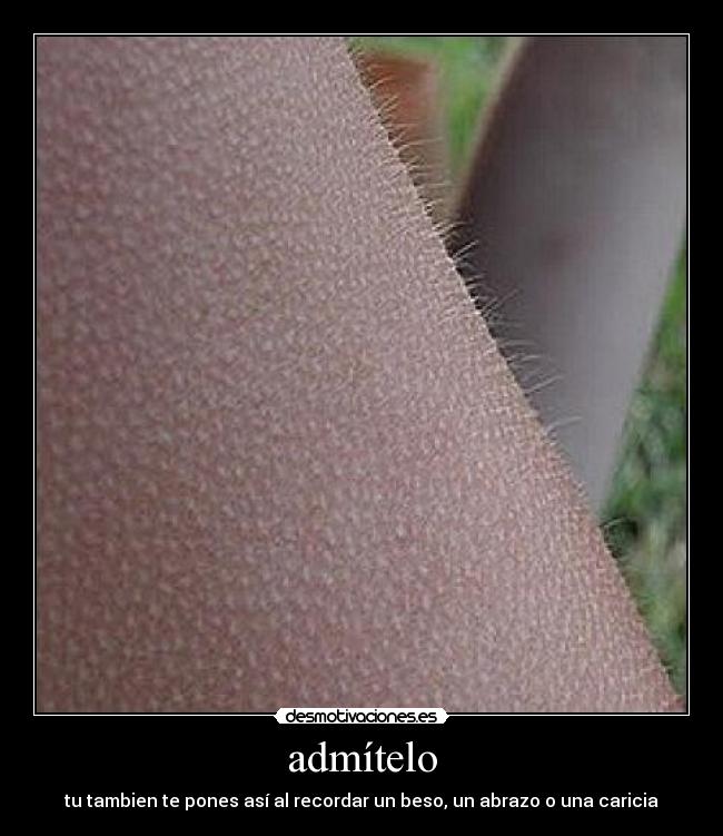 admítelo - 