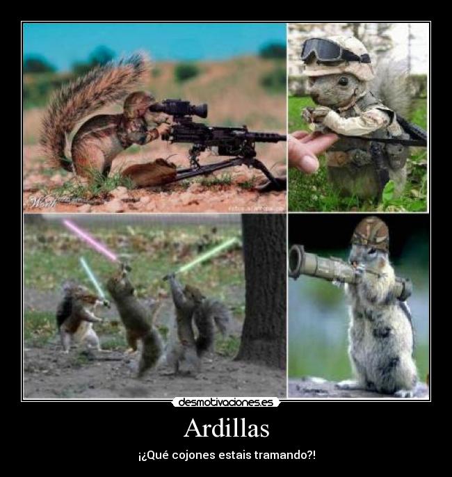 Ardillas - ¡¿Qué cojones estais tramando?!