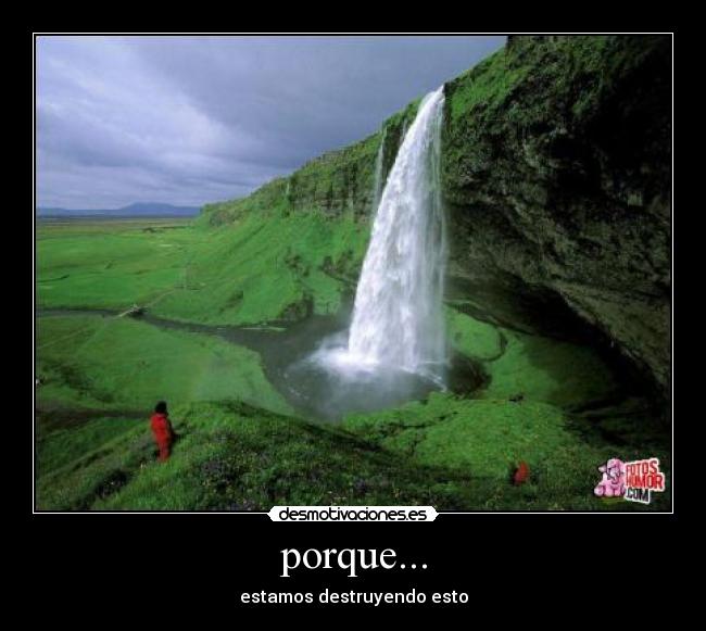 porque... -