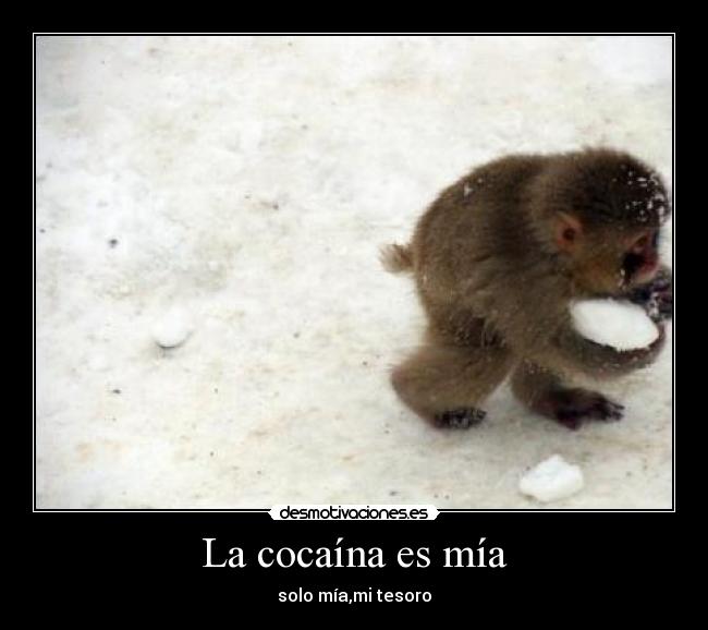 La cocaína es mía -