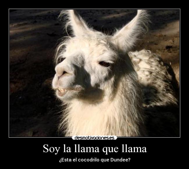 Soy la llama que llama - ¿Esta el cocodrilo que Dundee?