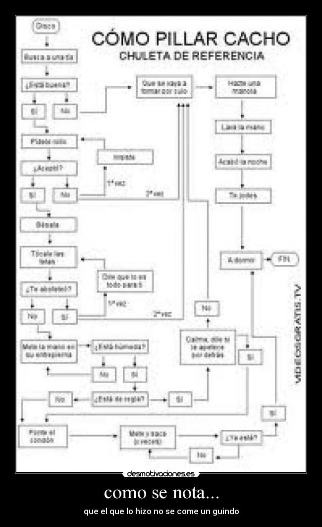 como se nota... - que el que lo hizo no se come un guindo