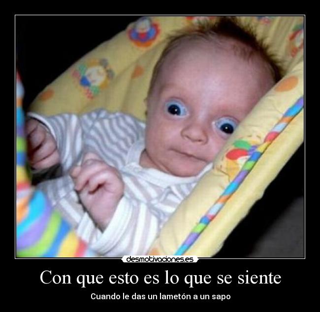 Con que esto es lo que se siente - Cuando le das un lametón a un sapo